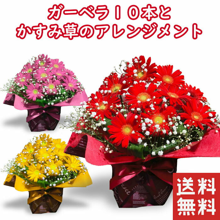 アルスメール 花束(3000円程度) ガーベラ 10本 アレンジメント ガーベラ 送別 卒業 昇進 卒園 就職 成人 バースデーフラワー 誕生花を使った 誕生花の生花ブーケ 誕生日プレゼント 女性 母 祖母 義母 女友達 男性 父 花 誕生日 お祝い フラワー ギフト お誕生日 誕生日ギフト