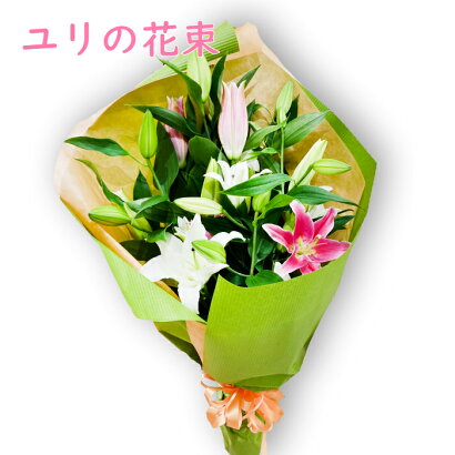 日本代購 Japanchill 日本代購轉運空運船運全球配送 ユリの花束ユリ百合ゆり5本バースデーフラワー誕生日プレゼント女性母男性父花誕生日 お祝いフラワーギフトお誕生日お花祝い誕生日ギフト 日本代購 Japanchill 日本代購轉運空運船運全球配送 ユリの花束ユリ百合ゆり5本バースデーフラワー誕生日プレゼント女性母男性父花誕生日 お祝いフラワーギフトお誕生日お花祝い誕生日ギフト