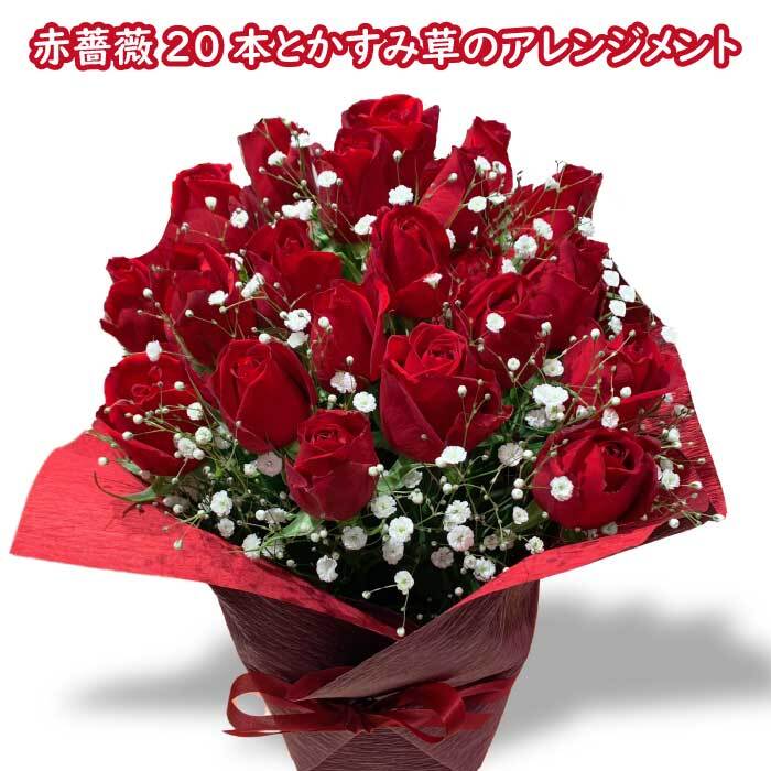 バラ 赤 薔薇 20本 アレンジメント カスミソウ バラ アレンジメント豪華 花 プレゼント 送別 卒業 昇進 卒園 就職 成人 バースデーフラワー 誕生花を使った 誕生日プレゼント 女性 母 祖母 義母 女友達 男性 父 花 誕生日 お祝い フラワー ギフト お誕生日 お花祝いのサムネイル
