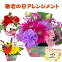 敬老の日 花 プレゼント 生花 アレンジメント リンドウ 秋のお花 男性 女性 おじいちゃん おばあちゃん 送料無料 ラッピング無料 お祝い 敬老の日 ギフト 記念日