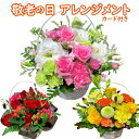 敬老の日 花 選べる色合い 秋のお花 誕生日 秋 送料無料 アレンジメント アレンジ 選べる色合い ラッピング無料 お祝い 誕生日 開業祝い 移転祝い 昇進 就任 還暦 ギフト プレゼント お花のプレゼント