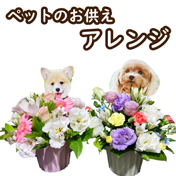 お盆 ペット お花 ペットのお供え 犬 猫　写真印刷無料 お供え お悔やみ お花 花 仏花 法事 仏事 命日 初盆 ギフト アレンジ 花束 日付指定 送料無料 立札 カード　わんちゃん 犬　ドッグ 猫　キャット