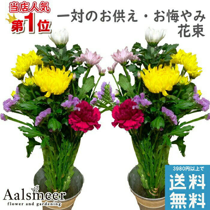 アルスメール 花束（1000円程度） お墓参り 花 3000円 お供え 花束 お盆 花 一対 花束 2束 お悔やみ お花 花 仏花 彼岸 法事 仏事 命日 1周忌 一周忌 お墓参り お盆 ギフト 花束 日付指定