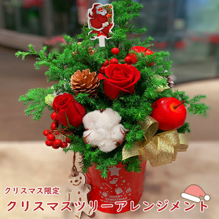 クリスマス アレンジメント ツリー ブリキ 缶 クリスマスツリー 期間限定 赤バラ 彼女 告白 クリスマス..