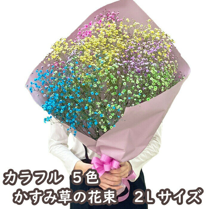 かすみ草 花束 カスミソウ ブーケ 2L 花束 カラフル かすみ草 レインボー カスミソウのブーケ かすみそうのブーケドライフラワー 送料無料 誕生日 お誕生日 インスタ映え Instagram インスタグラム 退職 送別 記念日 敬老の日 誕生日 プレゼント 結婚のサムネイル