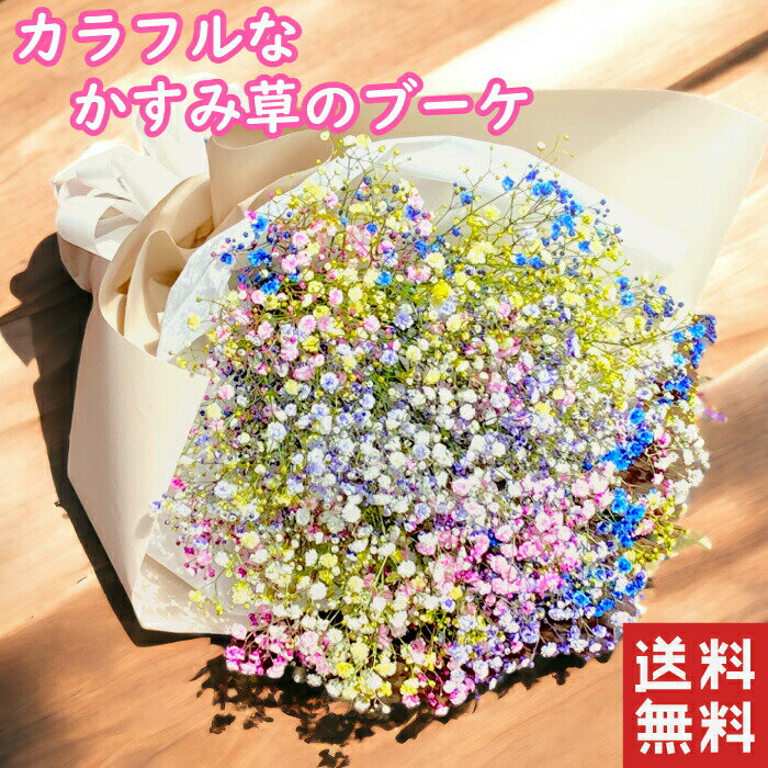 アルスメール 花束(3000円程度) かすみ草 花束 カスミソウ ブーケ 花束 かすみ草 レインボー カスミソウのブーケ かすみそうのブーケドライフラワー 送料無料 誕生日 お誕生日 インスタ映え Instagram インスタグラム 退職 送別 記念日 誕生日 プレゼント 結婚