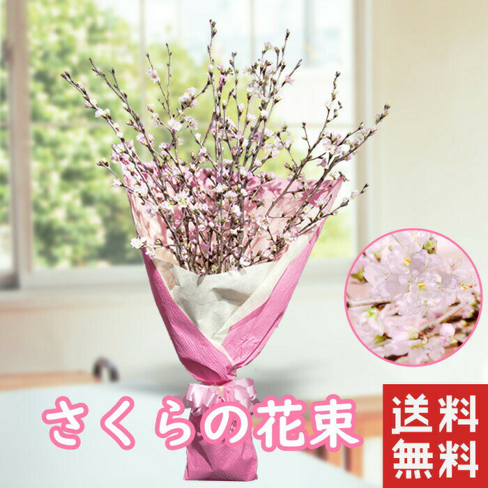 桜の花束 桜 枝 切り枝 さくら sakura 80cm 5本 程度 花束 桜の木 送料無料 花 春 ギフト サクラ咲く さくら お祝い 花 誕生日 プレゼント 女性 祖母 母 フラワーギフト 送別会 退職祝い 定年 男性 上司 合格祝い 卒業祝い お花 卒業式 おうち花見