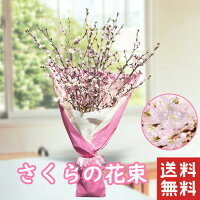 桜の花束 桜 枝 切り枝 さくら sakura 80cm 5本 程度 花束 桜の木 送料無料 花 春 ...