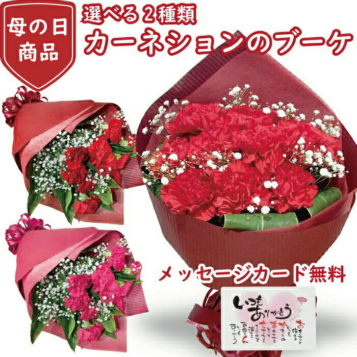 母の日 プレゼント カーネーション 花束 ブーケ 母の日 花束 ブーケ プレゼント 花 ギフト カーネーション 生花 カーネーション 送料無料 お母さん 母 母の日ギフト ギフト 贈り物 送料無料