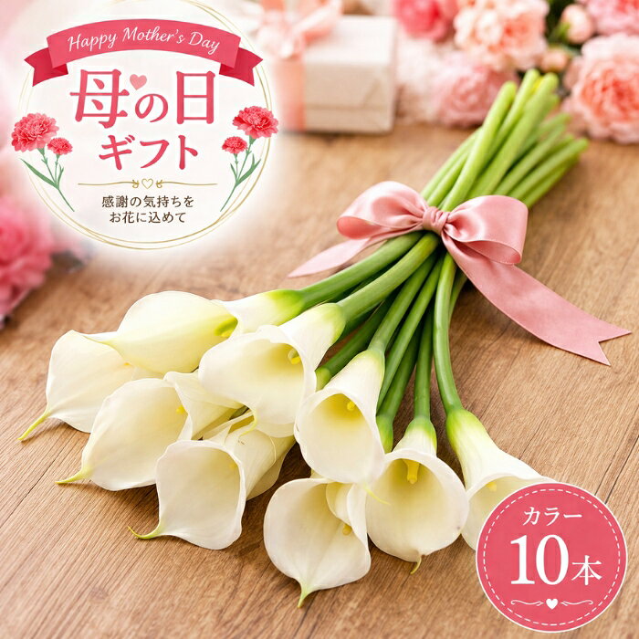 樂天商城 - 母の日 花 早割 ギフト 花束 カラー 生花 上品 プレゼント 清楚 送料無料 母 義母 フラワーギフト おしゃれ エレガント 60代 70代