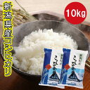 米 コシヒカリ 新潟県産 新米 10kg 送料無料 令和3年産 お米 白米 ふっくら