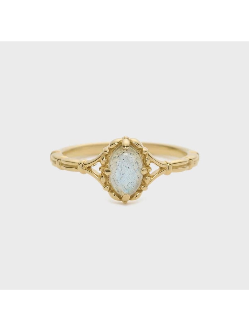 ゴールドラブラドライトピンキーリン...