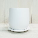 aarde:10007473のサンプル画像3