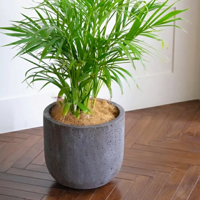 植木鉢おしゃれ大型ロッカーUポット...