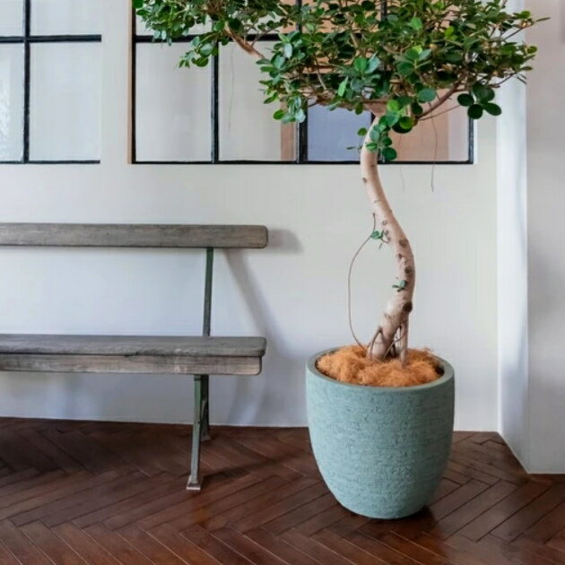 13+ - 植木鉢 おしゃれ 軽い クリフエッグL (3色)＜ 42cm 14号 FRP 底穴あり ブラウン ベージュ アイボリー ブルー グリーン 繊維強化 プラスチック 軽量 プランター 大型 かわいい 鉢 鉢カバー ガーデニング 室内 屋外 鉢植え 園芸 観葉植物 サボテン 多肉植物 塊根植物 花 ＞