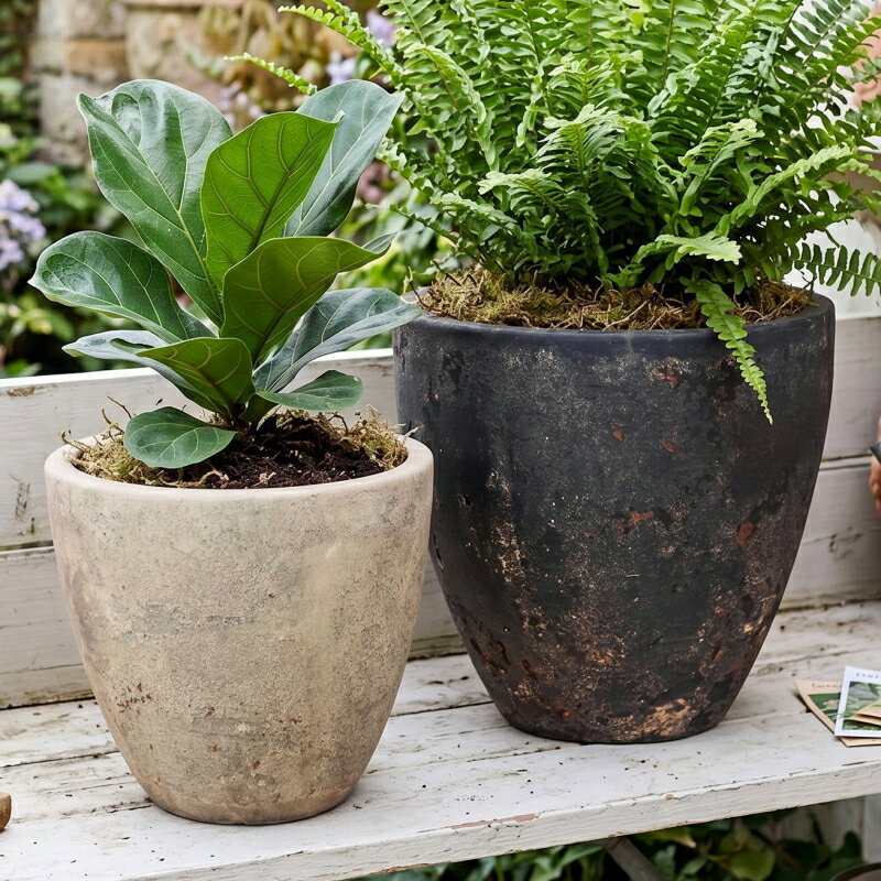 植木鉢 おしゃれ テラコッタ フリットエッグ(2色)＜ 8号 10号 外径23cm 30cm 底穴あり クリーム ベージュ ブラック 黒 かわいい 陶器鉢 素焼き プランター 大型 鉢 鉢カバー アンティーク ガーデニング 室内 屋外 寄せ植え 鉢植え 観葉植物 多肉植物 塊根植物 サボテン 花 ＞