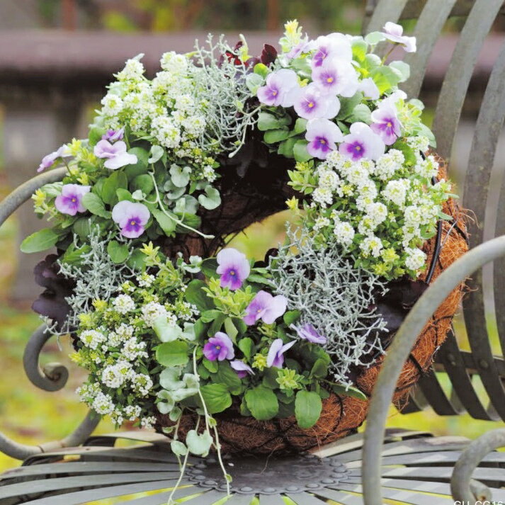 リースおしゃれハンギングリングバス...