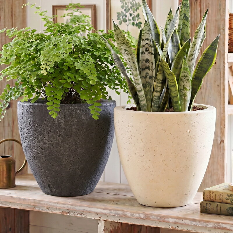 乐天商城 - 植木鉢 おしゃれ セメント フォリオエッグ (2色)＜ 10号 外径30cm 穴あり クリーム ブラック 黒 ベージュ ダークグレー ファイバー コンクリート プランター かわいい 鉢 鉢カバー ガーデニング 室内 屋外 寄せ植え 鉢植え 園芸 観葉植物 多肉植物 塊根植物 サボテン ＞