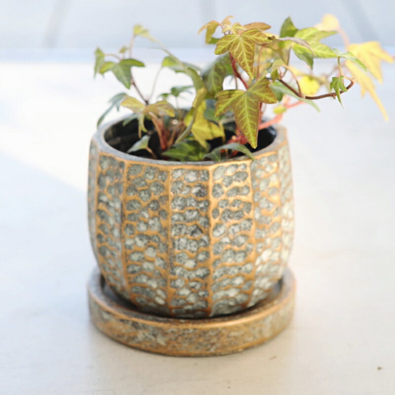 植木鉢 おしゃれ アンティーク メロネラウンドポットS＜ 胴部最大外径10.5cm 3号 穴あり 受け皿付き グレー ゴールド セメント 丸い プランター かわいい 鉢 鉢カバー 室内 屋外 コベントガーデン 植え替え 鉢植え 園芸 観葉植物 多肉植物 塊根植物 サボテン ＞