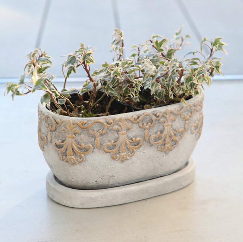 楽天市場】植木鉢 楕円の通販