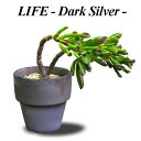 植木鉢 おしゃれ 素焼き 三河焼 ライフダークシルバー< 9.5cm 3号 13cm 4号 16cm 5号 底穴あり シルバー グレー イブシ プランター かわ...