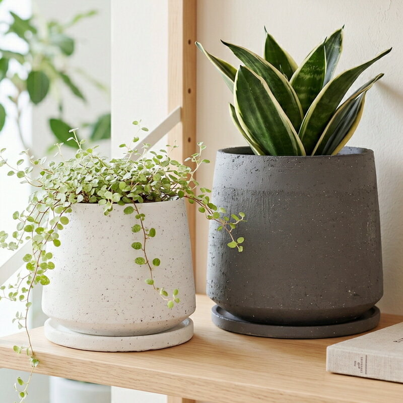植木鉢 おしゃれ 陶器鉢 イオニアアンフレ(2色)＜ 4号 5号 5.5号 12.5cm 15cm 17cm 穴あり 受け皿付 ホワイト ブラック グレー 和風 プランター かわいい 鉢 鉢カバー ガーデニング 室内 屋外 寄せ植え 植え替え 鉢植え 園芸 観葉植物 多肉植物 塊根植物 サボテン 花 ＞