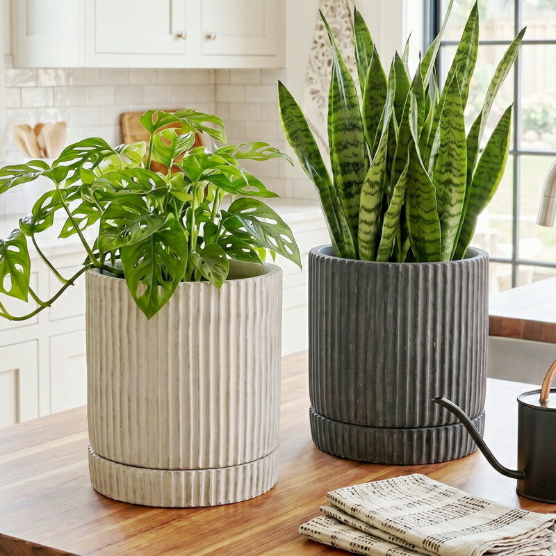 植木鉢(6号目安) Lean XL ベージュ 楽天市場】植木鉢 大型 プラ鉢 おしゃれ ベンチュラ36 頑丈