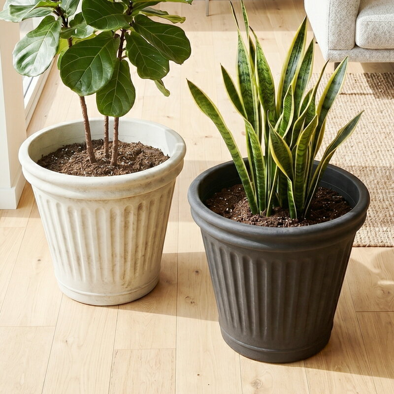 乐天商城 - 植木鉢 おしゃれ 軽い リーニュグレイブサークル(2サイズ)＜ 11号(10号用) 14号(13号用) 外径35cm 44cm 合成樹脂 ブラック ライトグレー プラスチック 軽量 プランター 大型 特大 鉢 鉢カバー ガーデニング 室内 屋外 鉢植え 観葉植物 サボテン 多肉植物 塊根植物 花 ＞