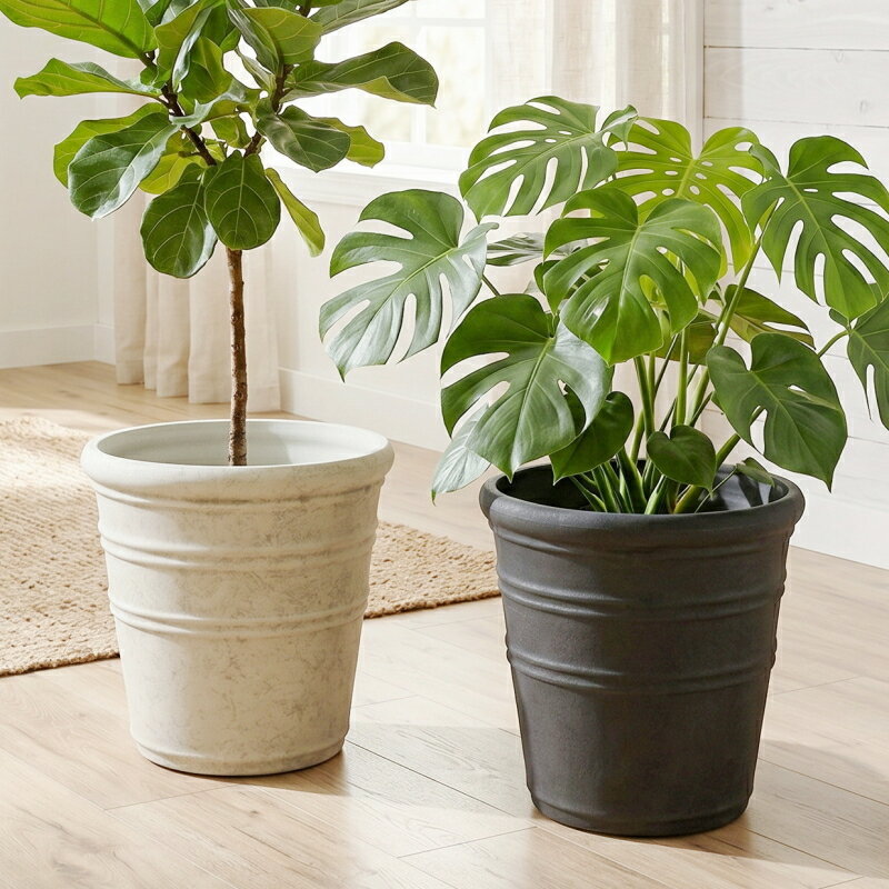 乐天商城 - 植木鉢 おしゃれ 軽い トロワグレイブサークルM(3色)＜ 外径40.5cm 13号(12号用) 合成樹脂 底穴あり ブラック ライトグレー プラスチック 軽量 プランター 大型 特大 円形 鉢 鉢カバー ガーデニング 室内 屋外 鉢植え 園芸 観葉植物 サボテン 多肉植物 塊根植物 花 ＞