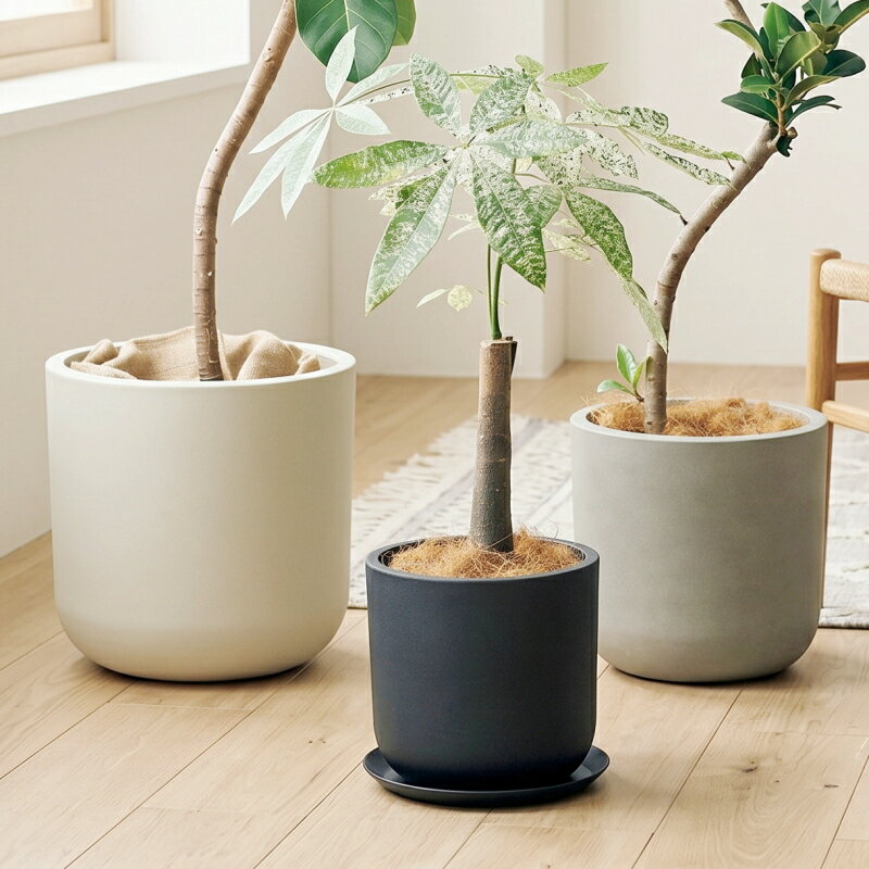 Rakuten - 植木鉢 おしゃれ 軽い サーブルサークルS(3色)＜ 外径29.5cm 9.5号(8号用) 合成樹脂 底穴あり ホワイト ブラック グレー プラスチック 軽量 プランター 大型 円形 鉢 鉢カバー ガーデニング 室内 屋外 鉢植え 園芸 観葉植物 サボテン 多肉植物 塊根植物 花 ＞