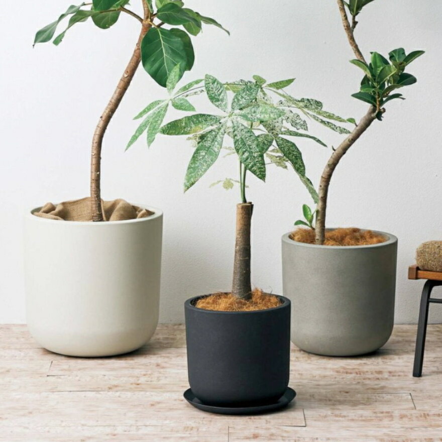 楽天市場】鉢カバー 10号（植木鉢｜植木鉢・プランター