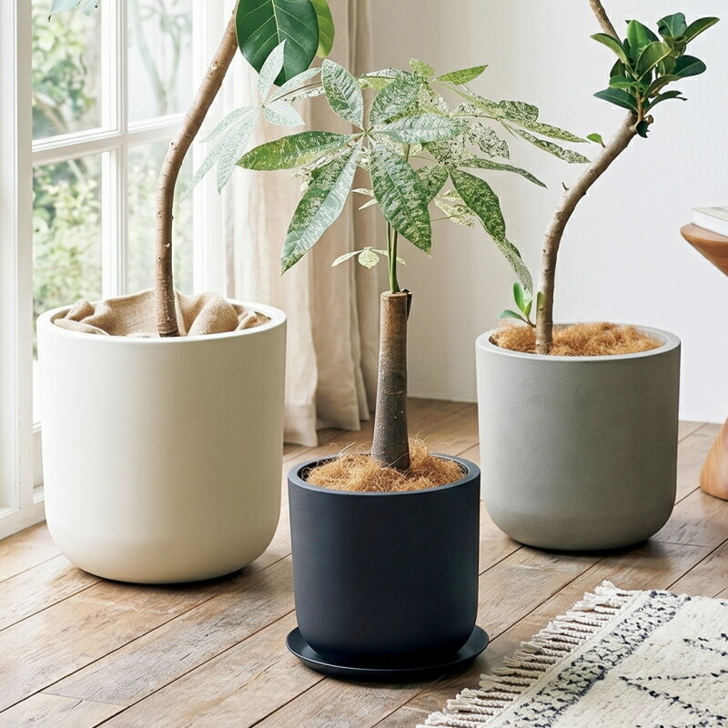 Rakuten - 植木鉢 おしゃれ 軽い サーブルサークルM(3色)＜ 外径36cm 12号(10号用) 合成樹脂 底穴あり ホワイト ブラック グレー プラスチック 軽量 プランター 大型 円形 鉢 鉢カバー ガーデニング 室内 屋外 鉢植え 園芸 観葉植物 サボテン 多肉植物 塊根植物 花 ＞