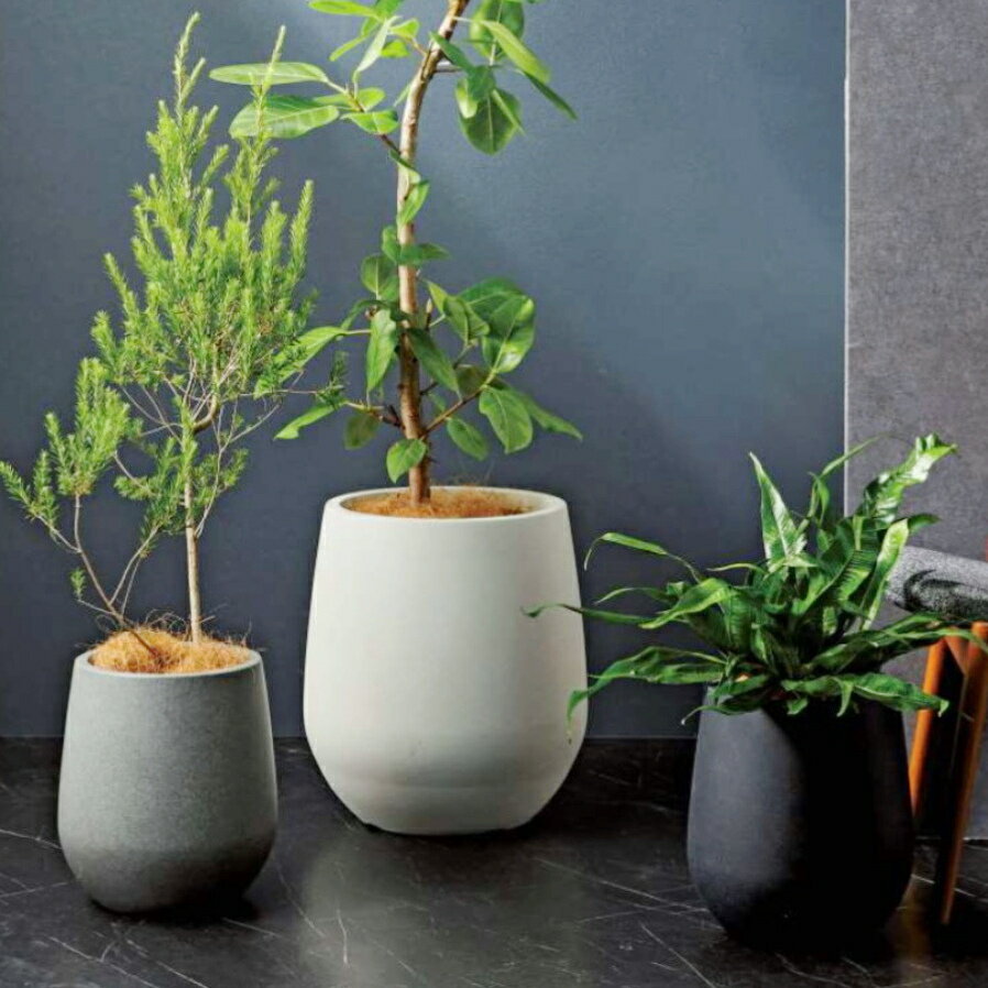 楽天市場】鉢カバー 大型（サイズ（植木鉢）7 ～ 9号）（ガーデニング