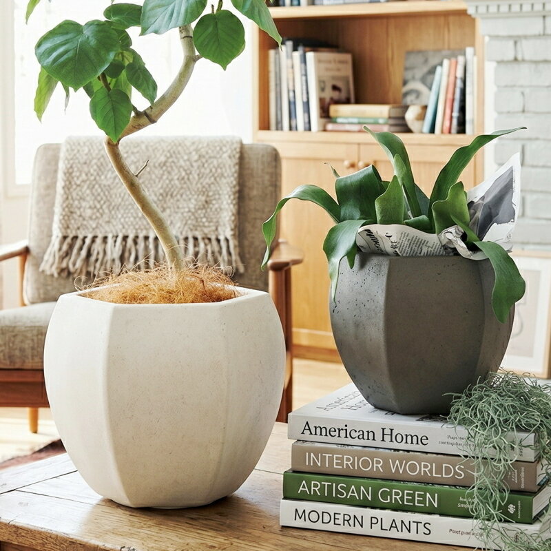 Rakuten - 植木鉢 おしゃれ エグザエドルポットS(2色)＜ 胴部最大外径24.5cm 8号(5号用) ホワイト グレー 底穴あり グラスファイバー アンティーク セメント コンクリート 軽い 軽量 プランター 鉢 鉢カバー 丸い 室内 屋外 鉢植え 園芸 観葉植物 多肉植物 塊根植物 サボテン ＞