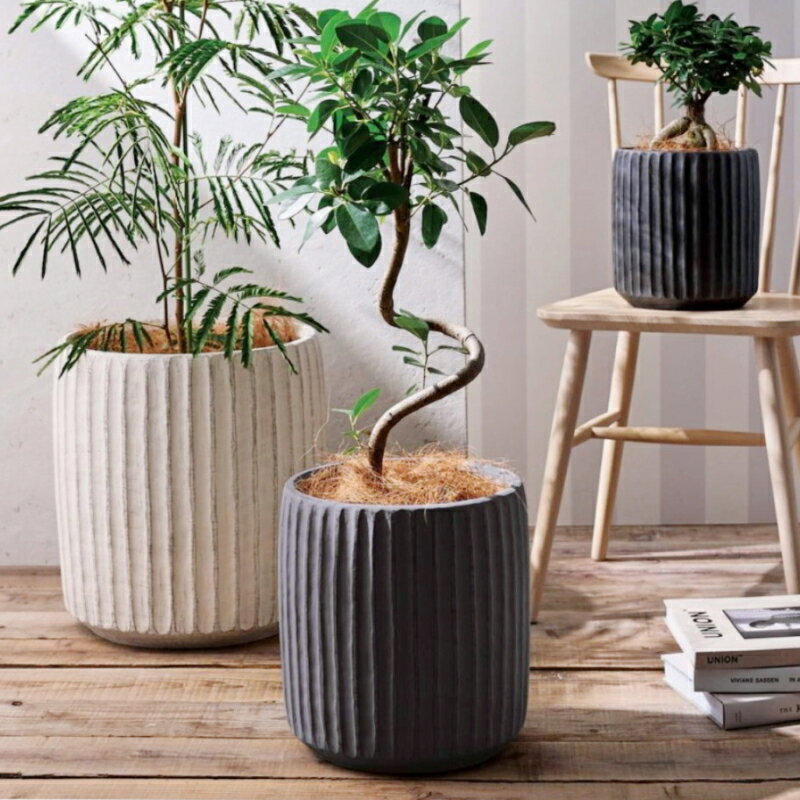 楽天市場】グラスファイバー 鉢 アンティーク（サイズ（植木鉢）7 ～ 9