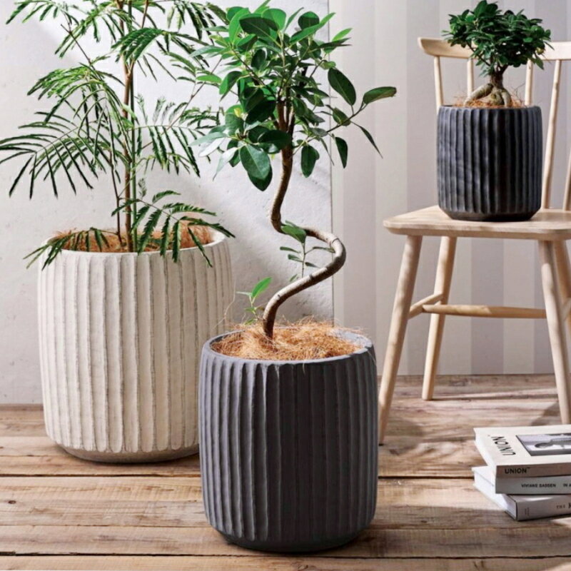 植木鉢 おしゃれ バーティカルラウンドL(2色)＜ 最大外径39cm 13号(11号用) ホワイ...