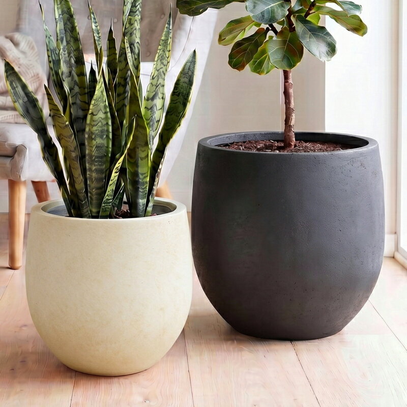 Rakuten - 植木鉢 おしゃれ カンムブリーズポット2L(2色)＜ 15号(12号用) 胴部最大外径45cm グラスファイバー セメント ホワイト アイボリー ブラック 底穴あり コンクリート 丸い 軽い 軽量 大型 プランター 鉢 特大 室内 屋外 鉢植え 園芸 観葉植物 多肉植物 塊根植物 サボテン 花＞
