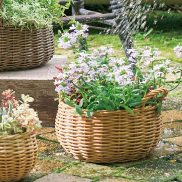 楽天市場】かご バスケット ビニール（植木鉢・プランター