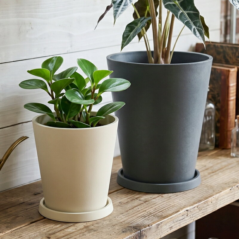 Rakuten - 植木鉢 おしゃれ 軽い イネガルサークル2L(3色)＜ 6.5号(6号用) 外径19.5cm 底穴あり 受け皿付 ホワイト ブラック グレー 合成樹脂 プラスチック 軽量 プランター 大型 円形 鉢 鉢カバー ガーデニング 室内 屋外 鉢植え 園芸 観葉植物 サボテン 多肉植物 塊根植物 花 ＞