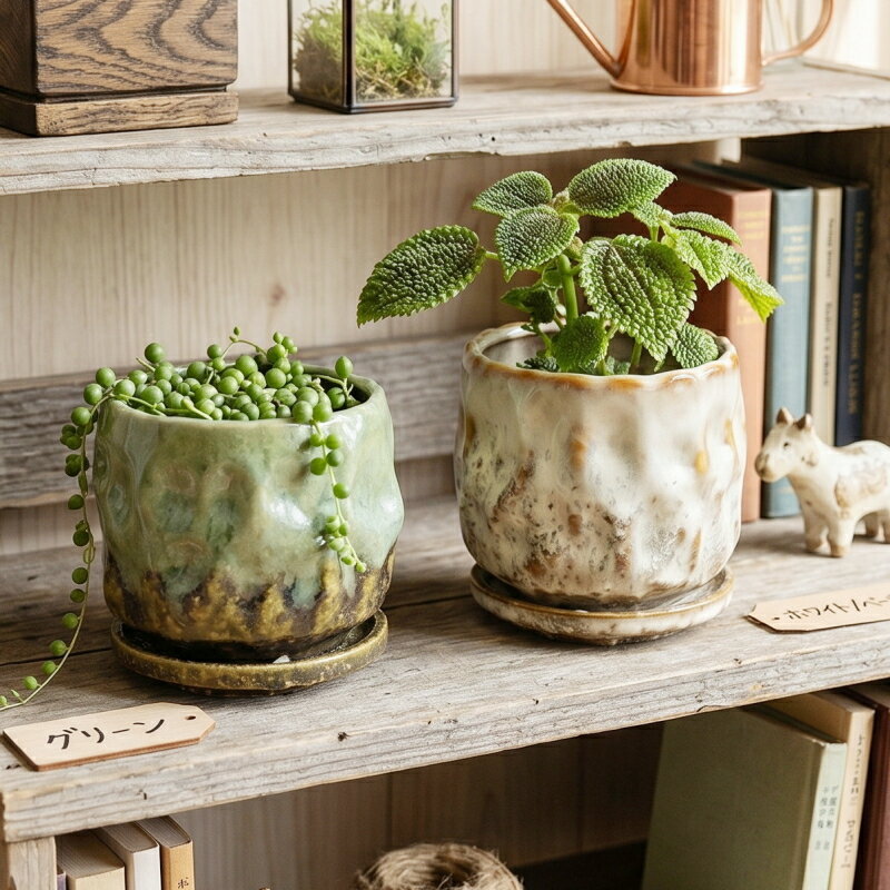 Rakuten - 植木鉢 おしゃれ 陶器鉢 エマールレリーフポットS (2色)＜ 外径11.5cm 3.5号(2.5号用) 底穴あり 受け皿付 ホワイト ベージュ グリーン 釉薬 陶器 丸い プランター 小さい 小型 かわいい 鉢 浅鉢 室内 植え替え 鉢植え 園芸 観葉植物 多肉植物 塊根植物 サボテン 花 ＞