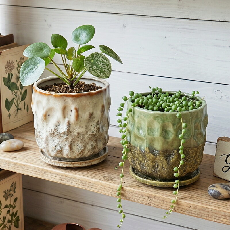 Rakuten - 植木鉢 おしゃれ 陶器鉢 エマールレリーフポットM (2色)＜ 外径14.5cm 4.5号(4号用) 底穴あり 受け皿付 ホワイト ベージュ グリーン 釉薬 陶器 丸い プランター 小さい 小型 かわいい 鉢 浅鉢 室内 植え替え 鉢植え 園芸 観葉植物 多肉植物 塊根植物 サボテン 花 ＞