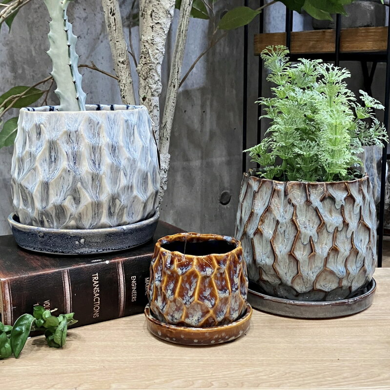 Rakuten - 植木鉢 おしゃれ 陶器鉢 ポリラウンドL (2色)＜ 胴部最大外径14.5cm 4.5号(3.5号用) 底穴あり 受け皿付 ホワイト ブルー グレー ブラウン 釉薬 陶器 丸い プランター 小さい 小型 かわいい 鉢 浅鉢 室内 植え替え 鉢植え 園芸 観葉植物 多肉植物 塊根植物 サボテン 花 ＞