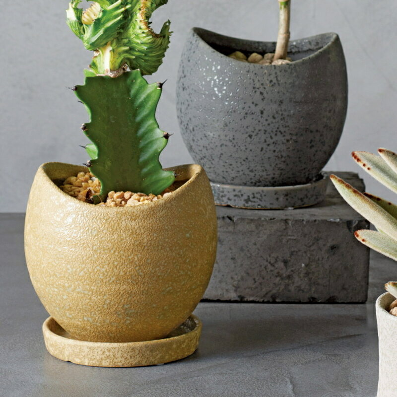 植木鉢 おしゃれ 陶器鉢 クルブボウルポットS (2色)＜ 胴部最大外径13cm 4号(3号用) 底穴あり 受け皿付 ホワイト ベージュ グレー ブラック 釉薬 陶器 丸い プランター 小さい 小型 かわいい 鉢 浅鉢 室内 植え替え 鉢植え 園芸 観葉植物 多肉植物 塊根植物 サボテン 花 ＞