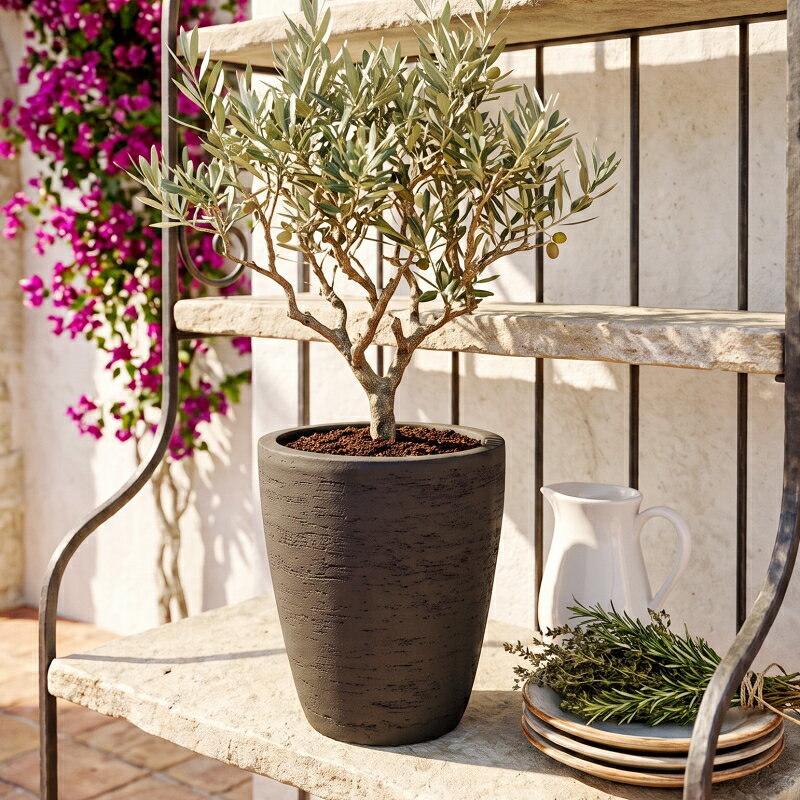 楽天市場】鉢 観葉植物（素材（ガーデニング・DIY用品）テラコッタ