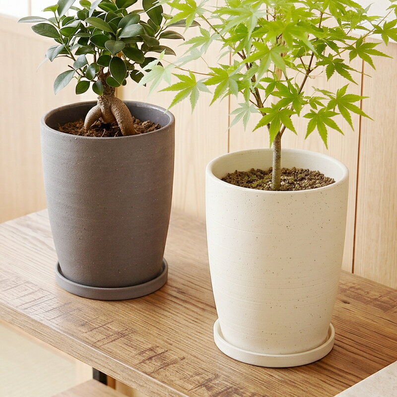 植木鉢 おしゃれ 陶器鉢 エッジトール (2色)＜ 4号 5号 12.5cm 16cm 穴あり 受け皿付 ホワイト グレー 白 黒 ブラック モダン 和風 プランター 陶器 円形 縦長 背の高い 深鉢 かわいい 鉢 ガーデニング 室内 植え替え 鉢植え 園芸 観葉植物 多肉植物 塊根植物 サボテン 花 ＞