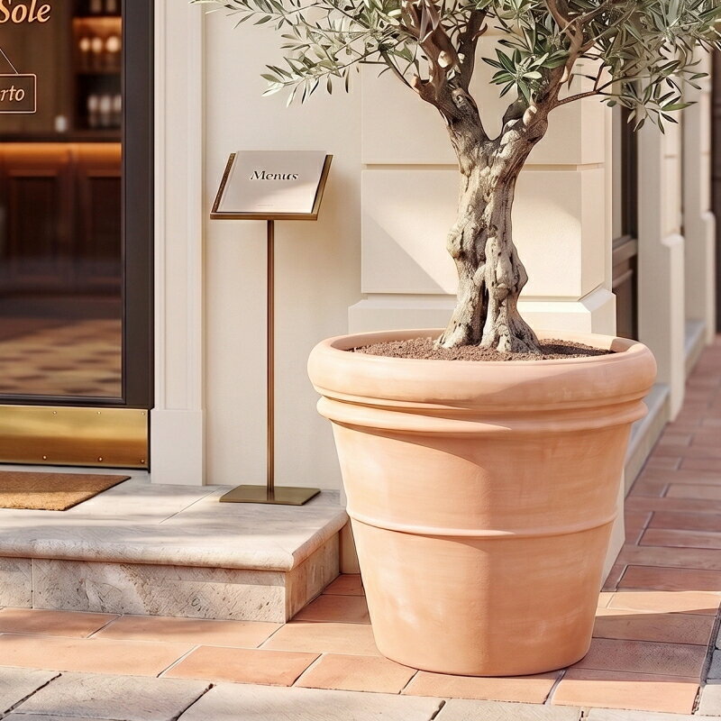 楽天市場】テラコッタ デローマ（種類（植木鉢）スタンダード鉢・素材