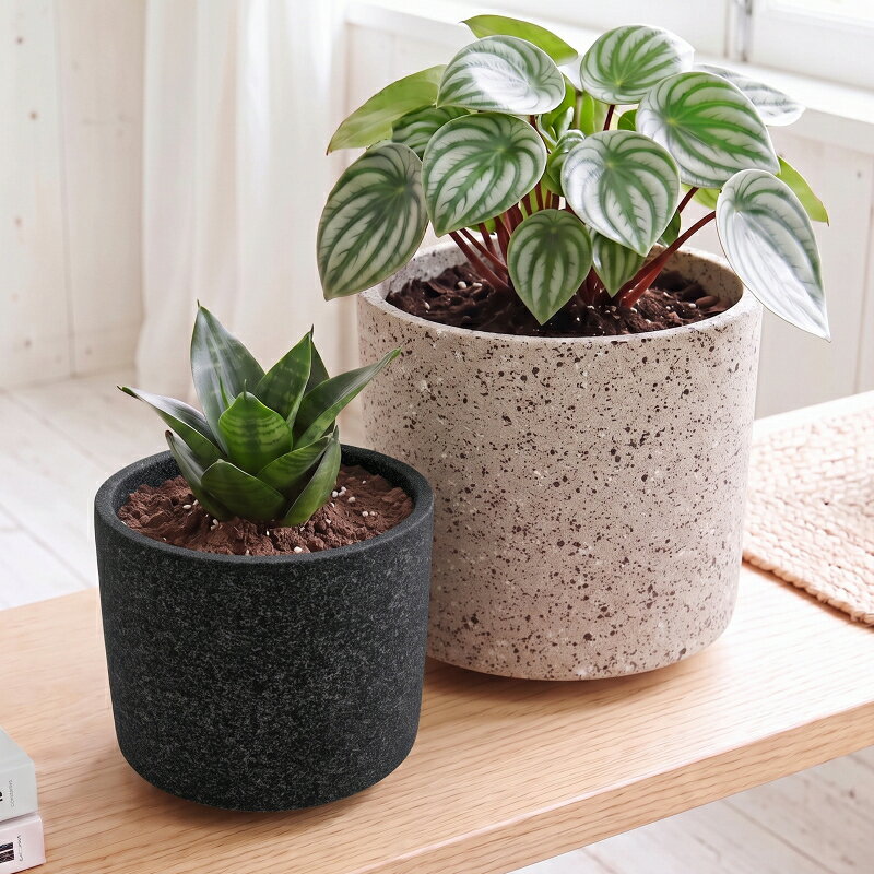 4種鉢 小中大特大 楽天市場】植木鉢 4号 角（植木鉢・プランター｜ガーデニング・農業