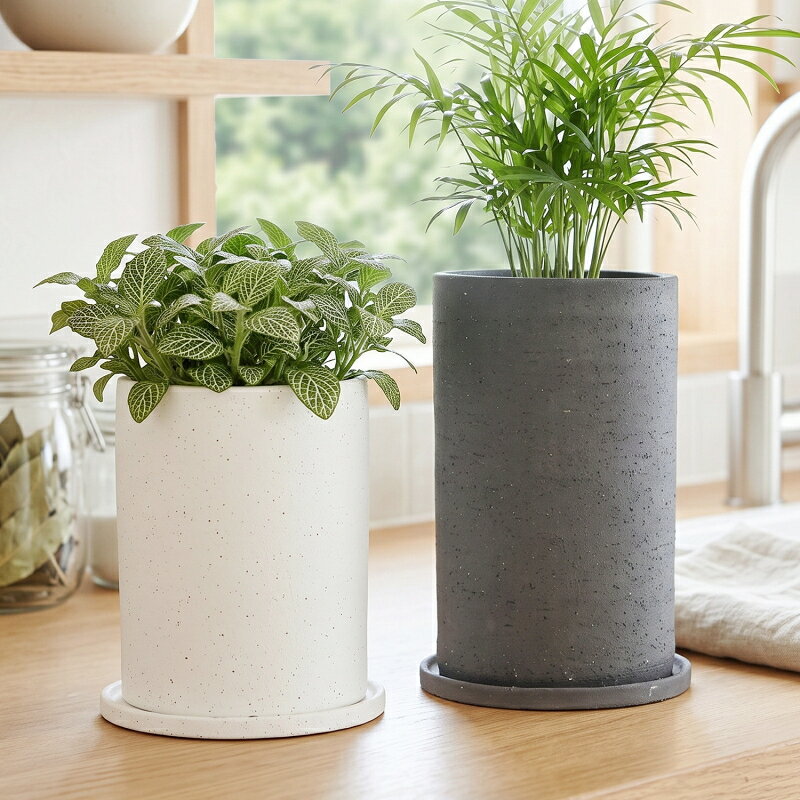 植木鉢 おしゃれ 陶器鉢 イオニアトール(2色)＜ 12cm 4号 穴あり 受け皿付 ホワイト グレー 白 黒 ブラック モダン 和風 背の高い 深鉢 長鉢 縦長 プランター かわいい 鉢 鉢カバー ガーデニング 室内 屋外 植え替え 鉢植え 園芸 観葉植物 多肉植物 塊根植物 サボテン 花 ＞