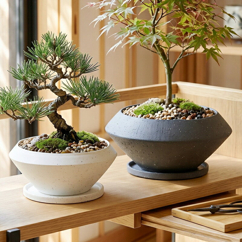 植木鉢 おしゃれ 陶器鉢 イオニアサークルL＜ 21cm 7号 穴あり 受け皿付 ホワイト ブラック 白 黒 モダン 和風 浅い 浅鉢 平鉢 寄せ植え プランター 鉢 ガーデニング 室内 植え替え 鉢植え 園芸 観葉植物 多肉植物 塊根植物 サボテン 苔 つる性 シダ 人気 人工観葉植物 花 ＞