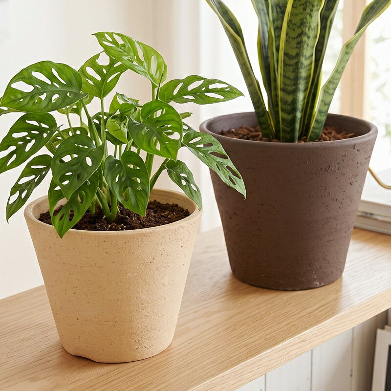 楽天市場】常滑焼 植木鉢の通販